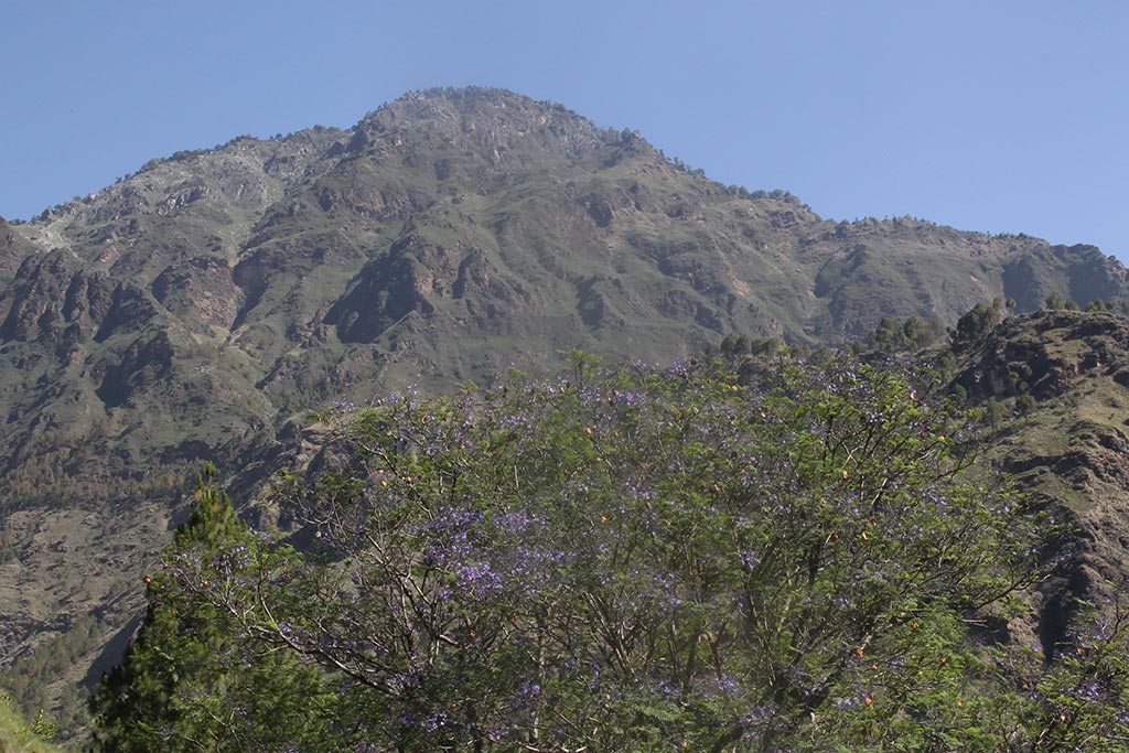 Content/css/images/homedecor/chardham-006.jpg