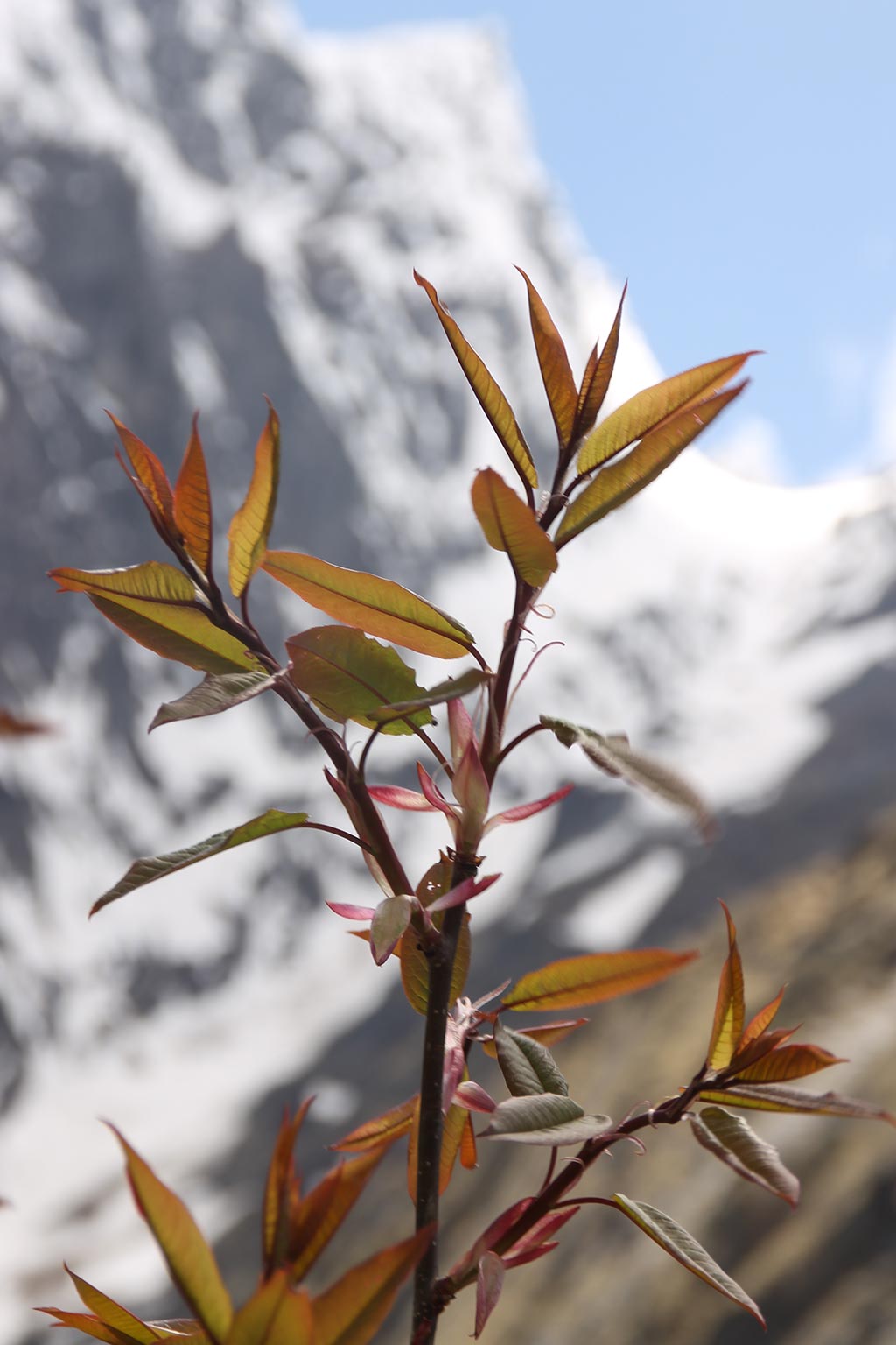 Content/css/images/homedecor/chardham-015.jpg